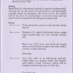 Untitled essay 08 image