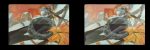 Product detail: "Slides of a Changing Painting"